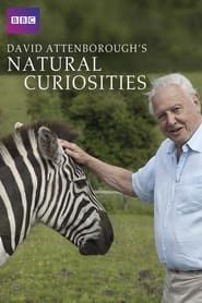 David Attenborough's Natural Curiosities series tv