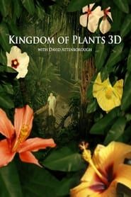 Kingdom of Plants</b> saison 01 