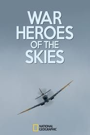 War Heroes of the Skies</b> saison 01 