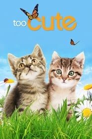 Too Cute (2011)