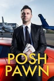 Posh Pawn series tv