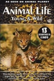 Animal Life: Young & Wild series tv