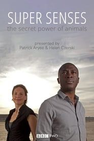 Super Senses: The Secret Power of Animals-hd