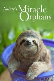Nature's Miracle Orphans saison 02 episode 01  streaming