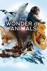 The Wonder of Animals series tv