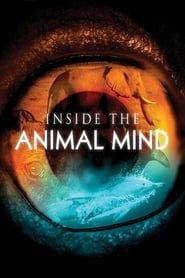Image Inside the Animal Mind