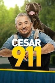 Cesar 911 series tv