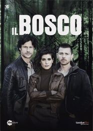 Il Bosco series tv