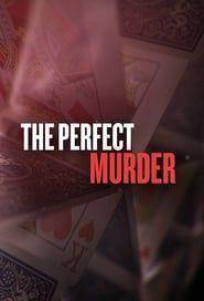 The Perfect Murder series tv