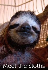 Meet the Sloths series tv