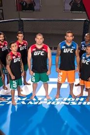 The Ultimate Fighter: Nations series tv