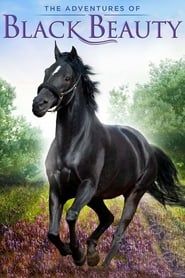 The Adventures of Black Beauty saison 01 episode 01  streaming