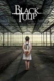 Black Tulip series tv