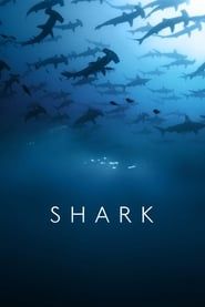 Requins : à bas la mauvaise réputation ! saison 01 episode 01  streaming