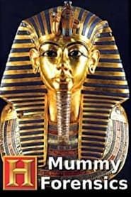 Mummy Forensics 2008</b> saison 01 