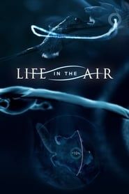 Life in the Air series tv