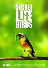Iolo's Secret Life of Birds series tv