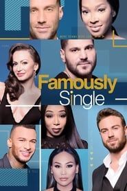 Famously Single 2017</b> saison 02 