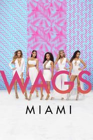 WAGS Miami series tv