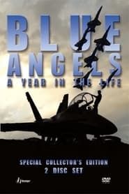 Blue Angels: A Year in the Life series tv