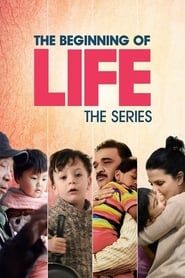 O Começo da Vida, Série (2016)