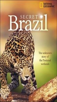 Secret Brazil – National series tv