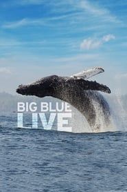 Big Blue Live series tv
