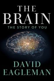 The Brain with David Eagleman series tv