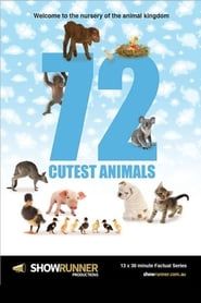 72 Cutest Animals series tv