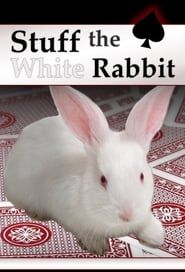 Image Stuff The White Rabbit