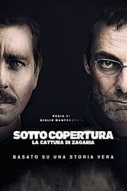 Sotto Copertura (2015)