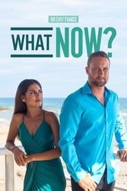 90 Day Fiancé: What Now? series tv