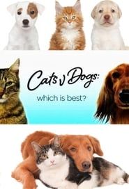 Cats v Dogs: Which is Best? series tv