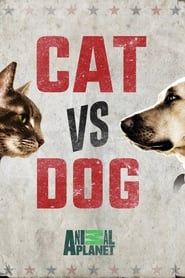 Image Cat vs. Dog