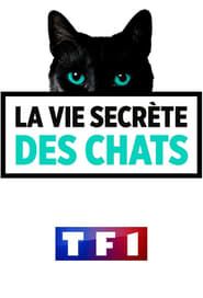 La Vie secrète des chats series tv
