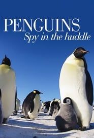 Penguins: Spy in the Huddle series tv