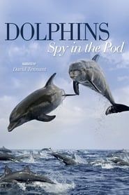 Dolphins: Spy in the Pod series tv