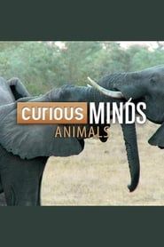 Curious Minds: Animals series tv
