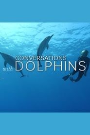 Image Conversations with Dolphins