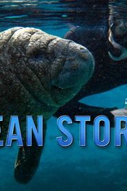 Ocean Stories series tv