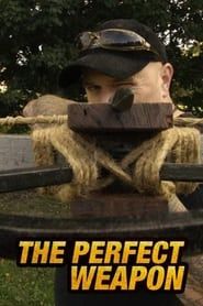 Perfect Weapon series tv