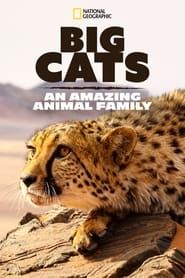 Big Cats: An Amazing Animal Family</b> saison 01 