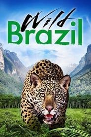 Wild Brazil</b> saison 01 
