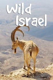 Wild Israel series tv
