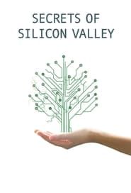 Secrets of Silicon Valley 2017</b> saison 01 