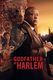 Godfather of Harlem (2023)