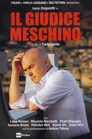 Il Giudice Meschino series tv