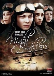 Night Swallows series tv