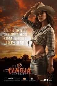 Camelia la Texana 2014</b> saison 01 