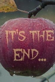 It’s The End series tv